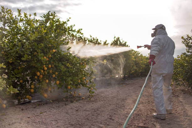 Best Pest Inspection Near Me  in Oxford, PA
